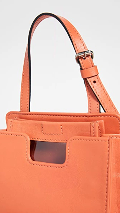 Shop Alfeya Valrina Dey Bag In Salmon