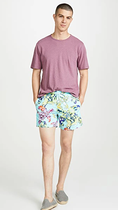 Shop Vilebrequin Watercolor Turtles Moorea Swim Trunks In Acqua