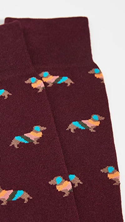 Shop Paul Smith Artist Dog Socks In Purple Multi