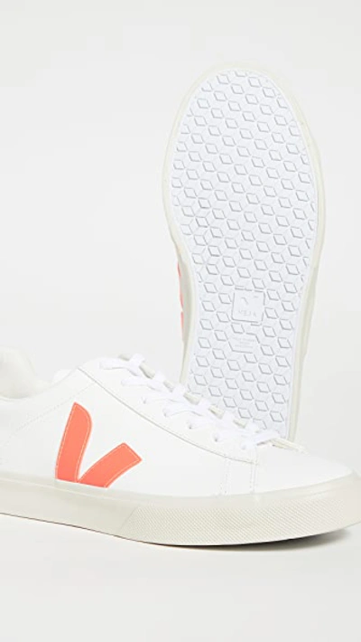 Shop Veja Campo Sneakers In Extra White/orange Fluo/cobalt