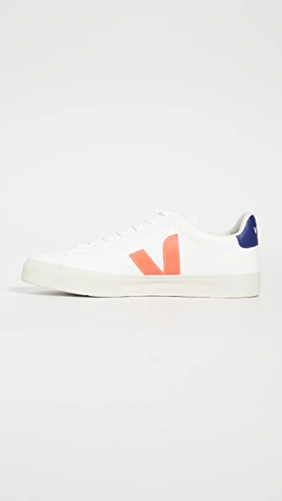 Shop Veja Campo Sneakers In Extra White/orange Fluo/cobalt