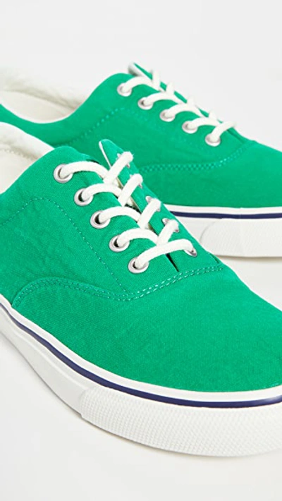 Shop Polo Ralph Lauren Harpoon Sneakers In Green
