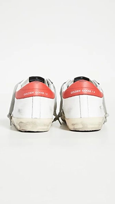 Shop Golden Goose Superstar Sneakers In White/blue Star/red