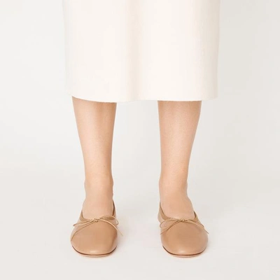 Shop Mansur Gavriel Dream Ballerina In Biscotto