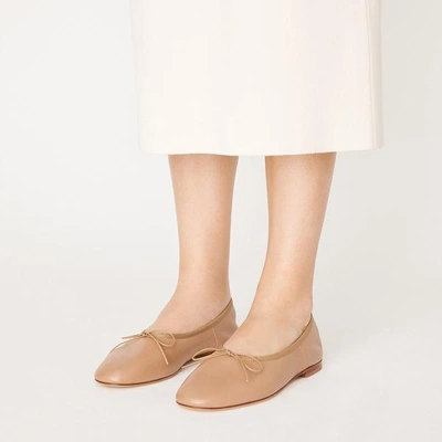 Shop Mansur Gavriel Dream Ballerina In Biscotto