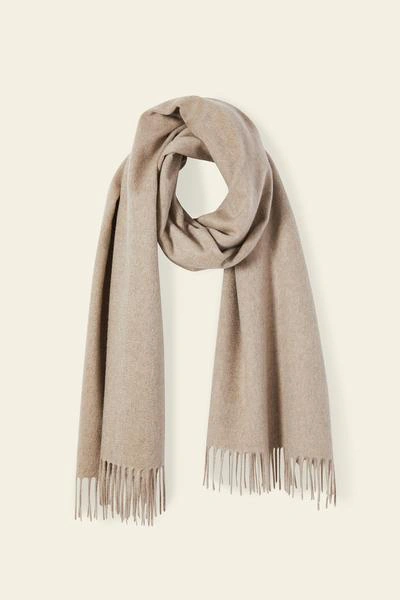 Shop Mansur Gavriel Cashmere Winter Scarf In Black