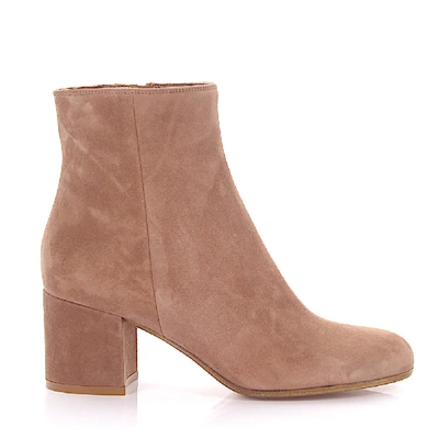 Shop Gianvito Rossi Classic Ankle Boots Margaux Mid In Pink