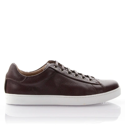 Shop Gianvito Rossi Leather Sneakers In Brown