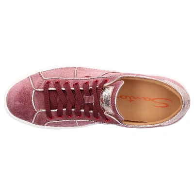 Shop Santoni Low-top Sneakers 60430 In Pink