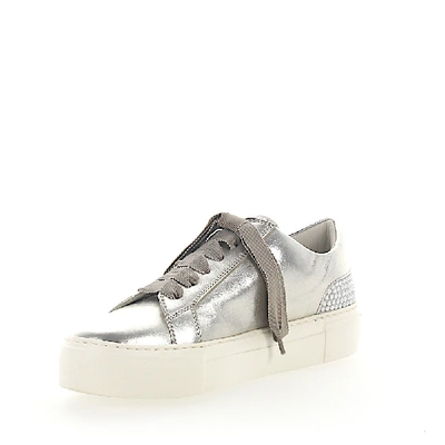 Shop Agl Attilio Giusti Leombruni Women Low-top Sneakers D925012 Smooth Leather Beads Metallic Silver In Gold