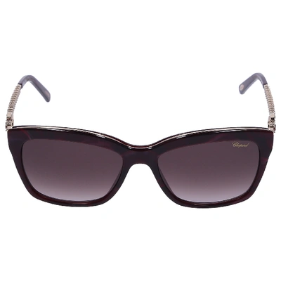 Shop Chopard Women Sunglasses Wayfarer 212s 09zb Metal Gold