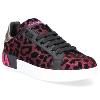 Shop Dolce & Gabbana Low-top Sneakers Portofino In Pink