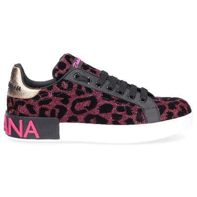 Shop Dolce & Gabbana Low-top Sneakers Portofino In Pink