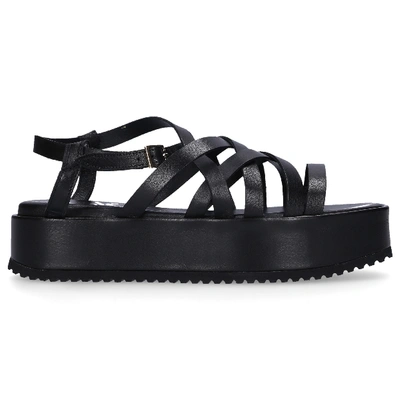 Shop Agl Attilio Giusti Leombruni Strappy Sandals D647006 In Black