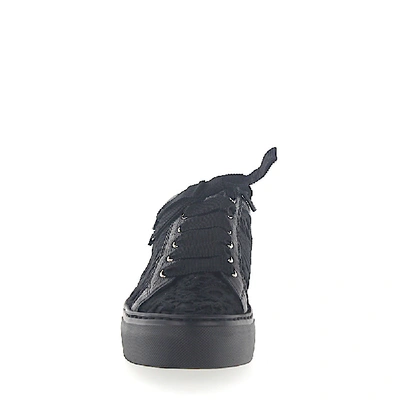 Shop Agl Attilio Giusti Leombruni Low-top Sneakers D925070 Calfskin In Black
