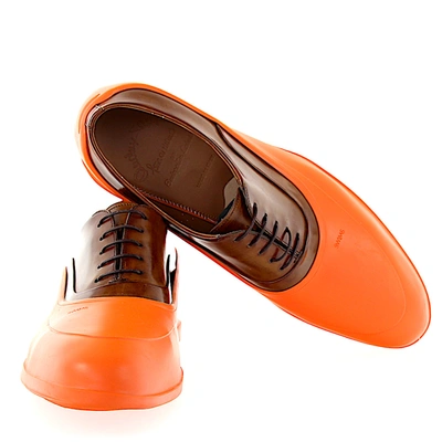 Shop Swims Galoshes Classic Galosh In Orange