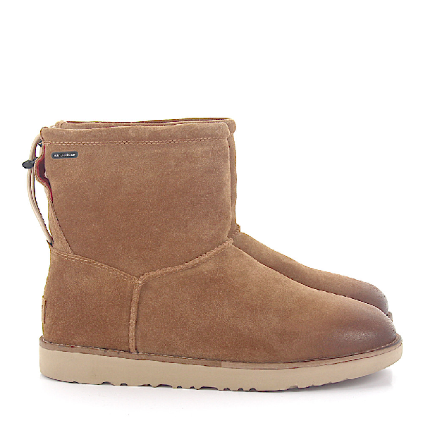 ugg boots website