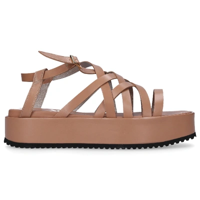 Shop Agl Attilio Giusti Leombruni Strappy Sandals D647006 In Brown