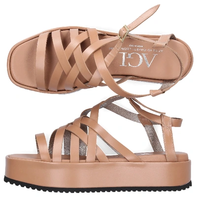 Shop Agl Attilio Giusti Leombruni Strappy Sandals D647006 In Brown