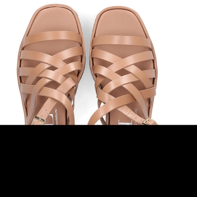 Shop Agl Attilio Giusti Leombruni Strappy Sandals D647006 In Brown