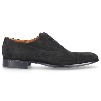 Shop Moreschi Business Shoes Oxford 039165 Suede In Black