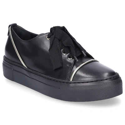 Shop Agl Attilio Giusti Leombruni Low-top Sneakers D925139 In Black