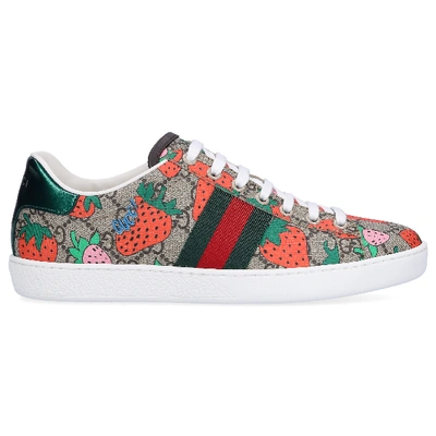Shop Gucci Low-top Sneakers Ace In White