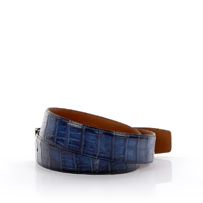 Shop Santoni Belt Alligator Leather In Blue