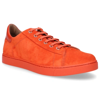 Shop Gianvito Rossi Low-top Sneakers Low Top In Orange