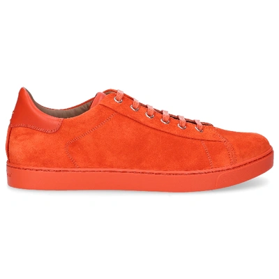Shop Gianvito Rossi Low-top Sneakers Low Top In Orange