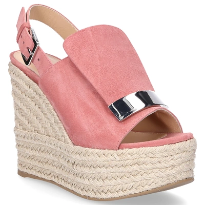 Shop Sergio Rossi Espadrilles Sr1 Espadrillas In Pink