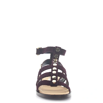 Shop Balenciaga Strappy Sandals Calfskin Suede Rivets Bordeaux In Red