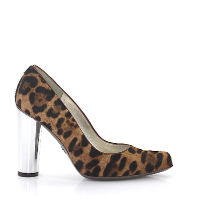 Shop Dolce & Gabbana Pumps In Beige,brown,multicolored