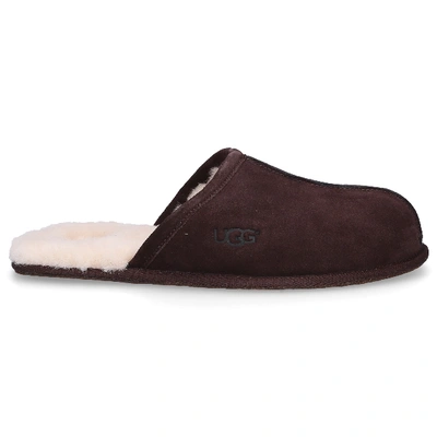 Shop Ugg Slippers Scuff In Brown