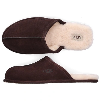 Shop Ugg Slippers Scuff In Brown
