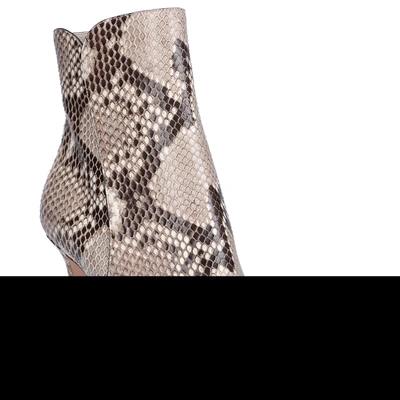 Shop Gianvito Rossi Ankle Boots Exotic Levy 85 Python Leather In Grey
