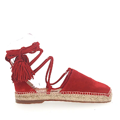 Shop Dsquared2 Espadrilles Sandals Flat Suede Red Roman Lacing In Orange