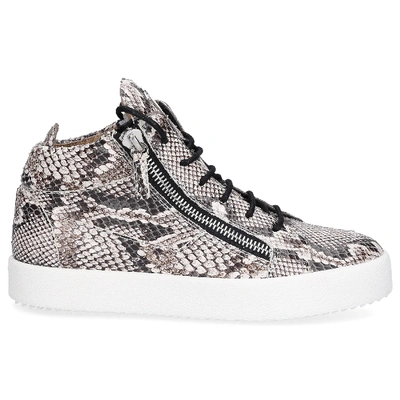 Shop Giuseppe Zanotti High-top Sneakers Kriss Phyton In Beige