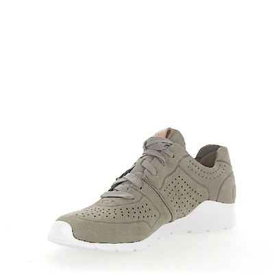 Shop Ugg Sneaker Tye Nubuck Hole Pattern Grey