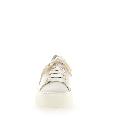 Shop Agl Attilio Giusti Leombruni Sneakers D925090 Plateau Leather White Patch Flowers