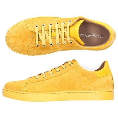 Shop Gianvito Rossi Low-top Sneakers Low Top In Yellow