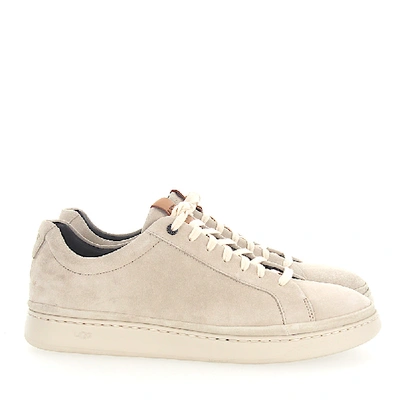 Shop Ugg Sneaker M Cali Suede Beige In White