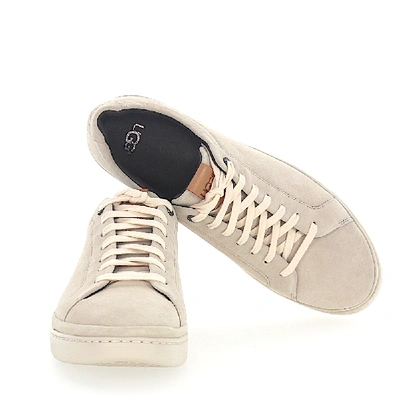 Shop Ugg Sneaker M Cali Suede Beige In White