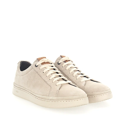 Shop Ugg Sneaker M Cali Suede Beige In White