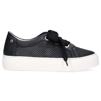 Shop Agl Attilio Giusti Leombruni Low-top Sneakers 925173 Hole Pattern Black