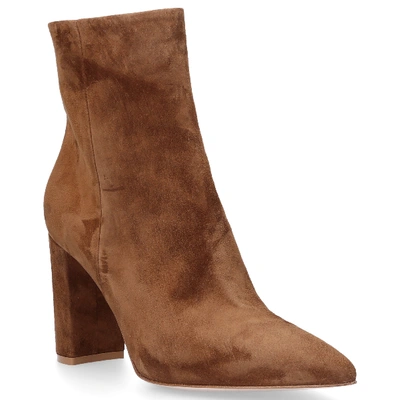 Shop Gianvito Rossi Ankle Boots Brown Piper 85