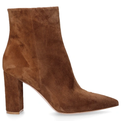 Shop Gianvito Rossi Ankle Boots Brown Piper 85
