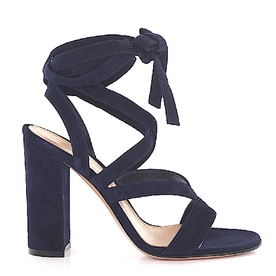 Shop Gianvito Rossi Women Sandals Dark Blue