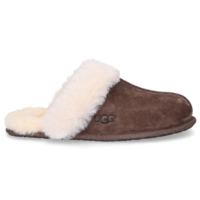 Shop Ugg Slippers Scuffette In Brown