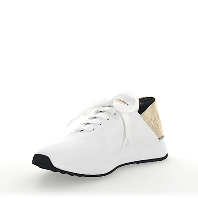 Shop Officine Creative Low-top Sneakers Calfskin Logo Gold White